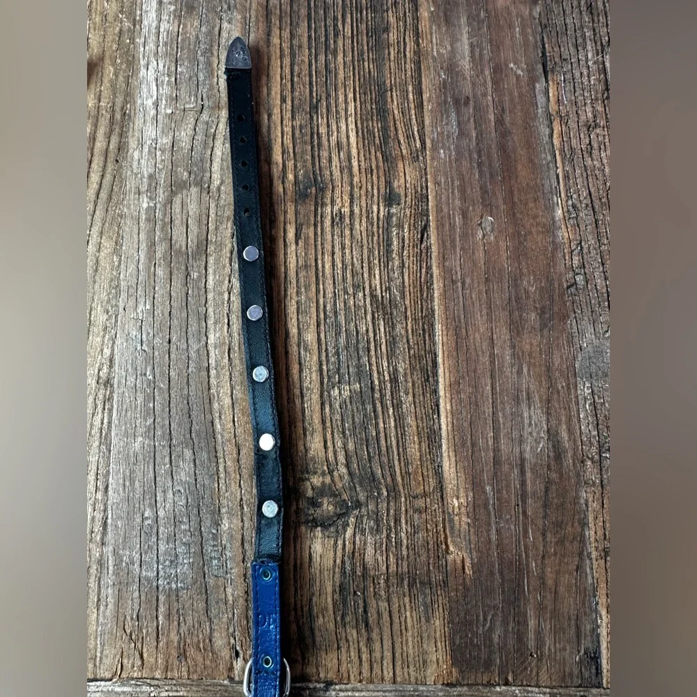 Blue Leather Dog Collar